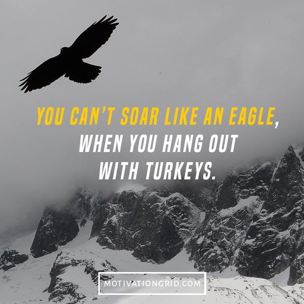 motivational quote, you can't soar like an eagle