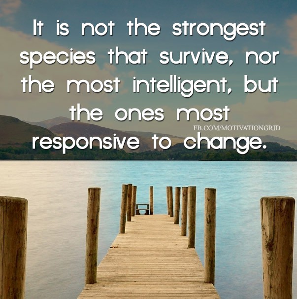 It is not the strongest species that survive, nor the most intelligent, but the ones most responsive to change.